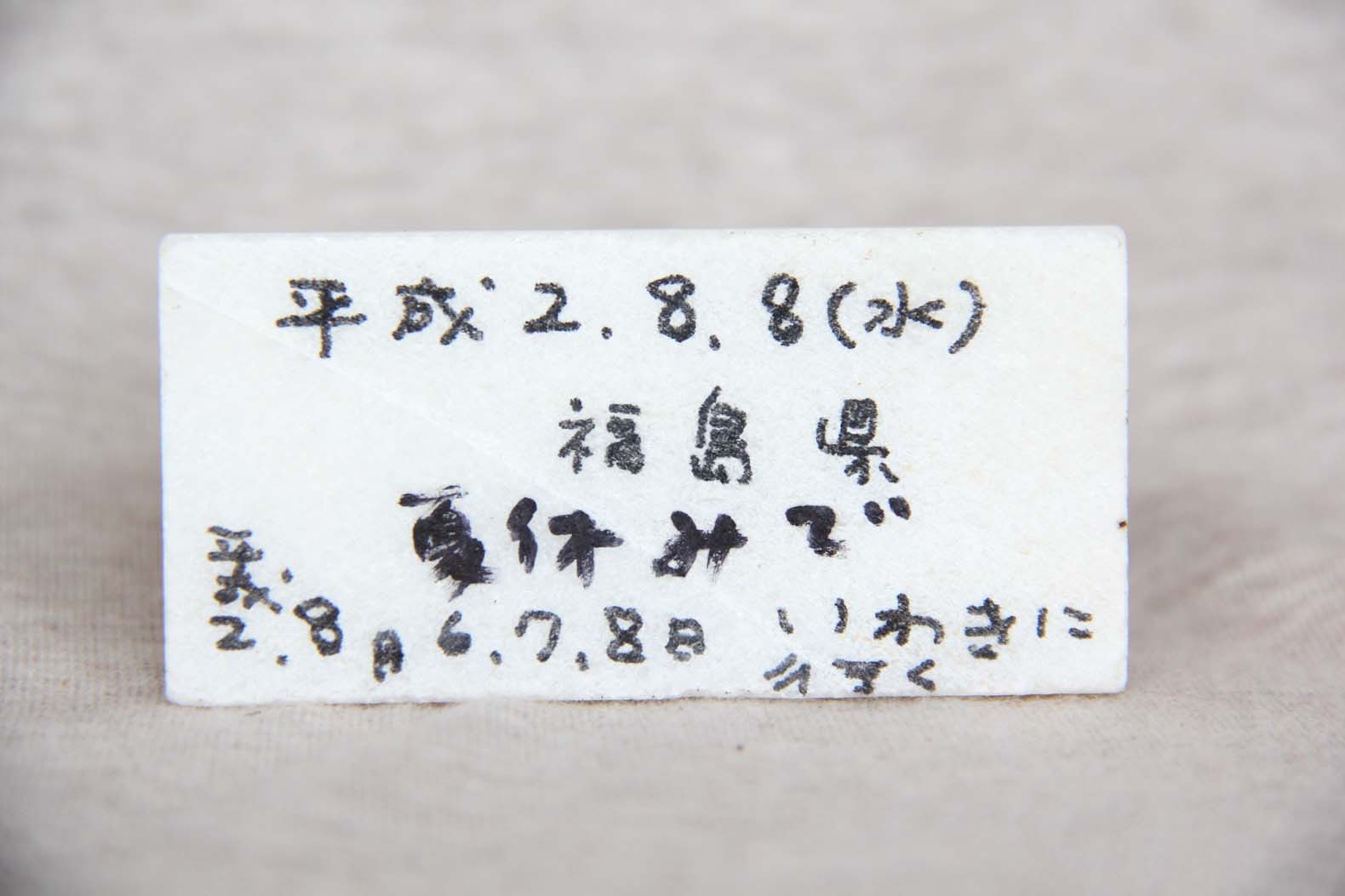 裏は真っ白。