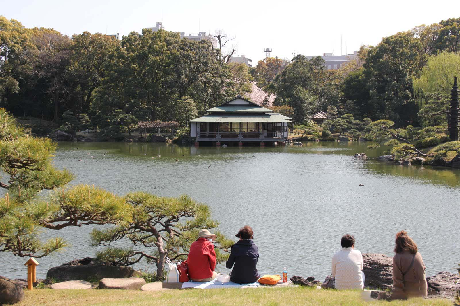 池を眺めながら休憩