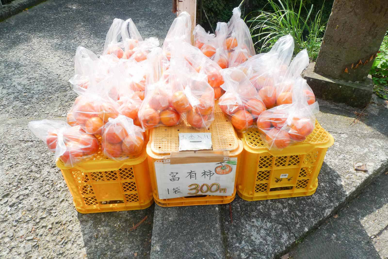 富有柿1袋300円