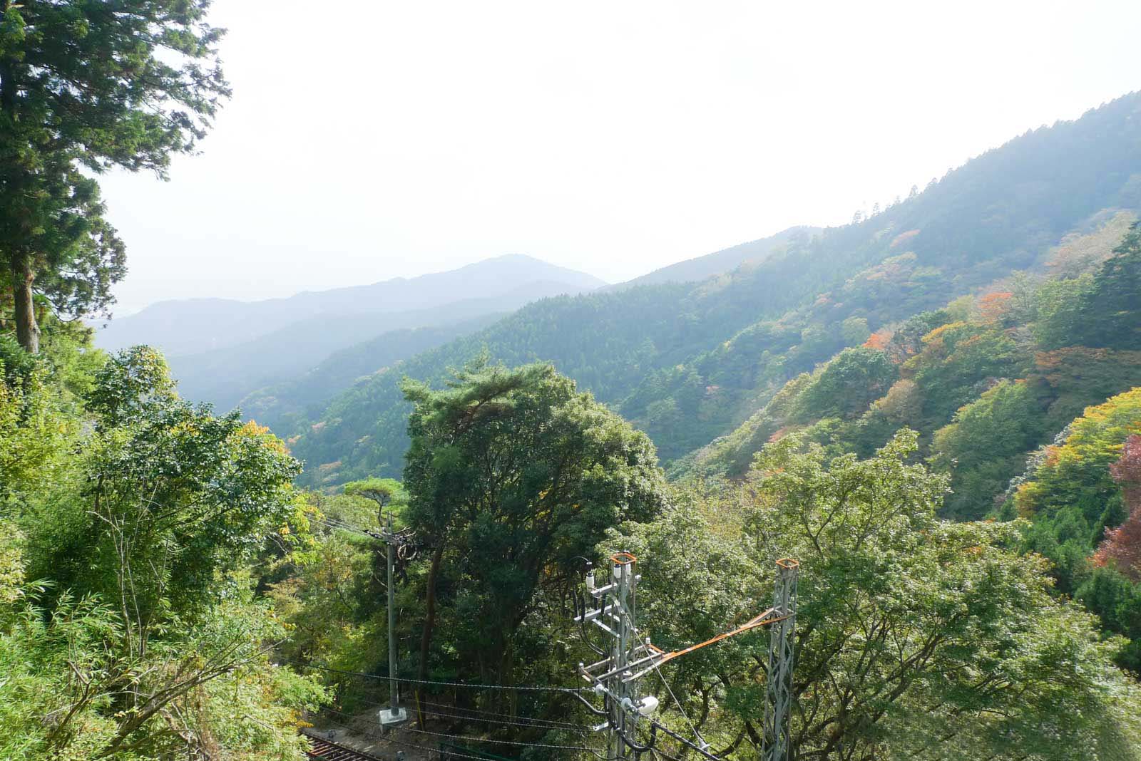 大山ケーブルカー阿夫利神社駅から見下ろした様子
