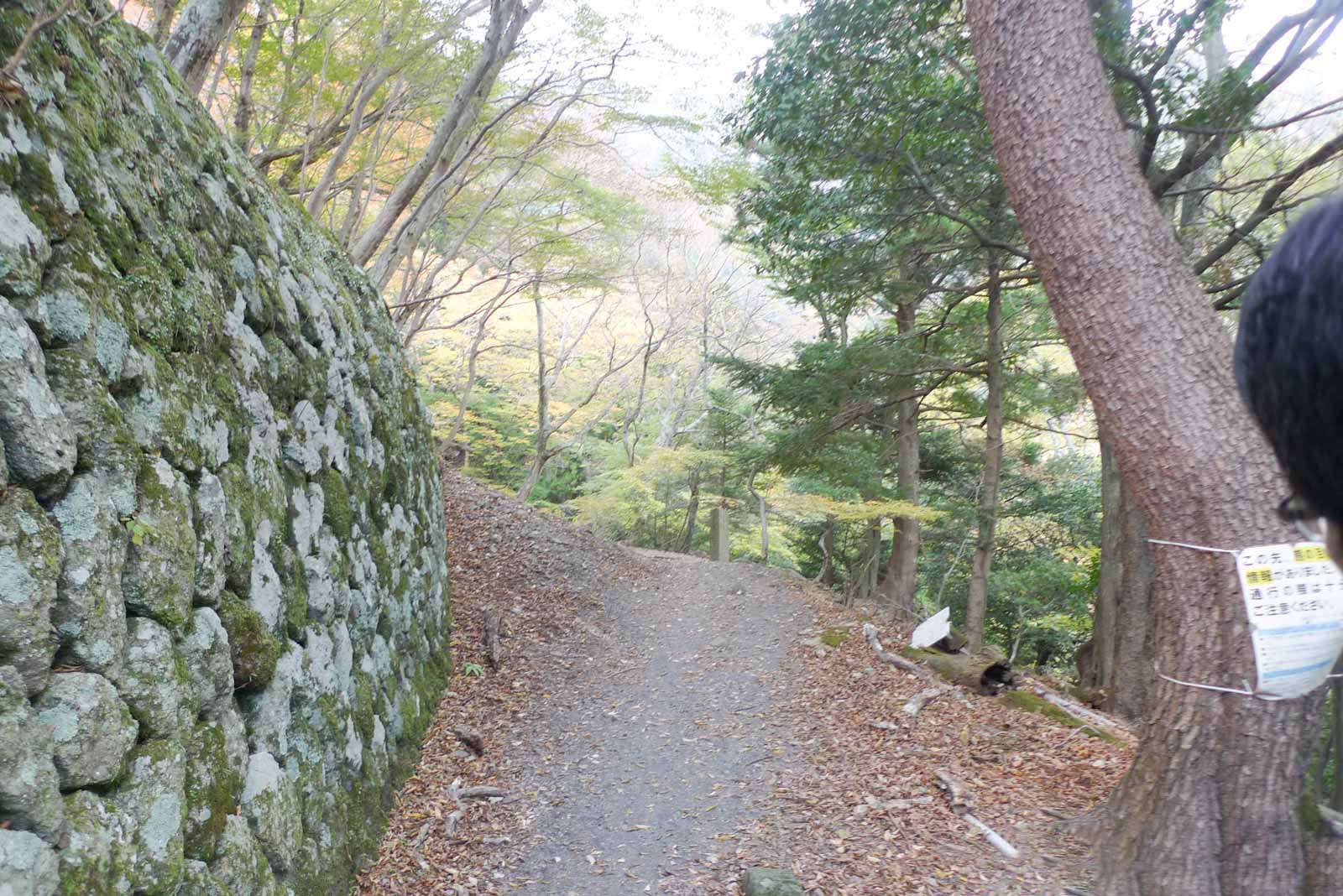 大山二重滝へ向かう山道