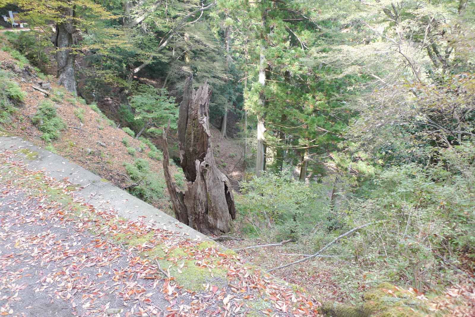 大山二重滝へ向かう山道
