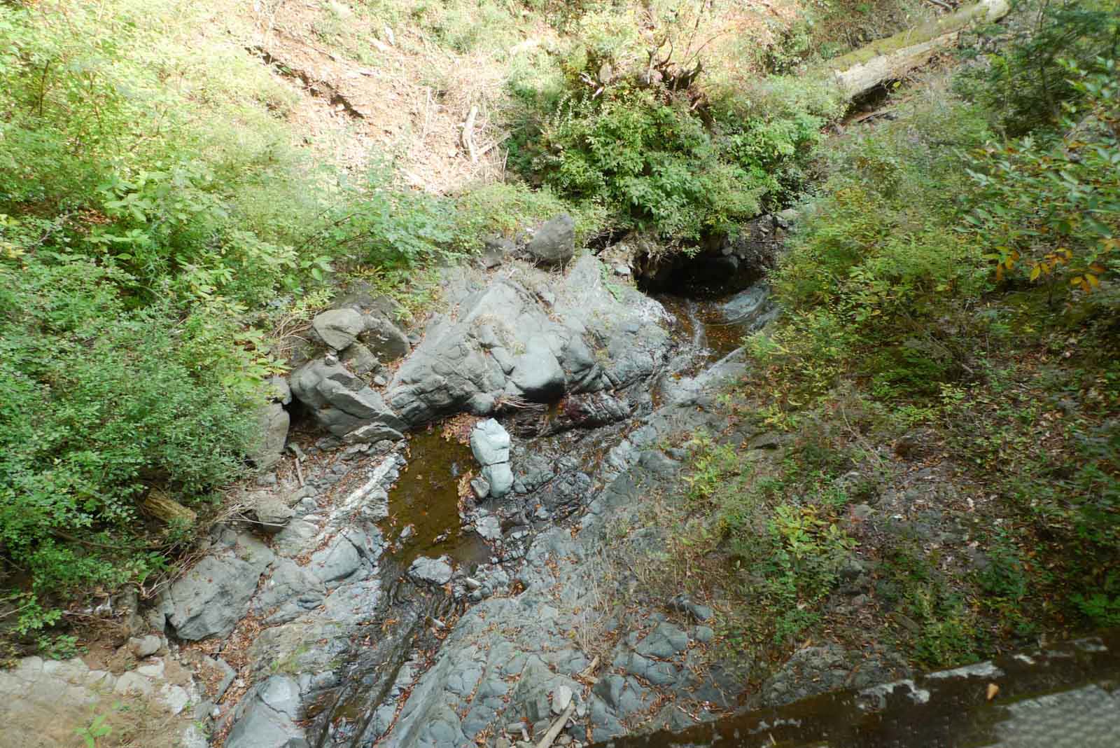 大山二重滝から見た小川