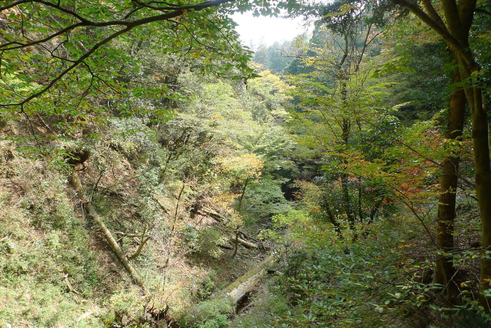 大山二重滝から見た山々