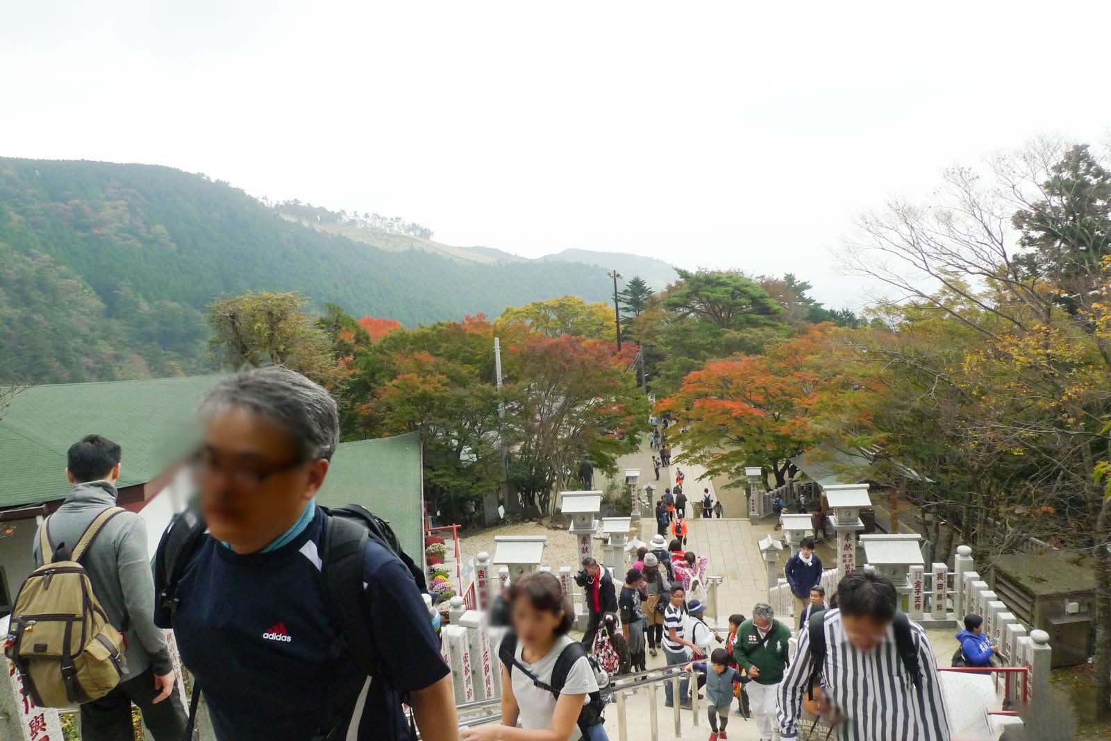 大山阿夫利神社下社に向かう階段から