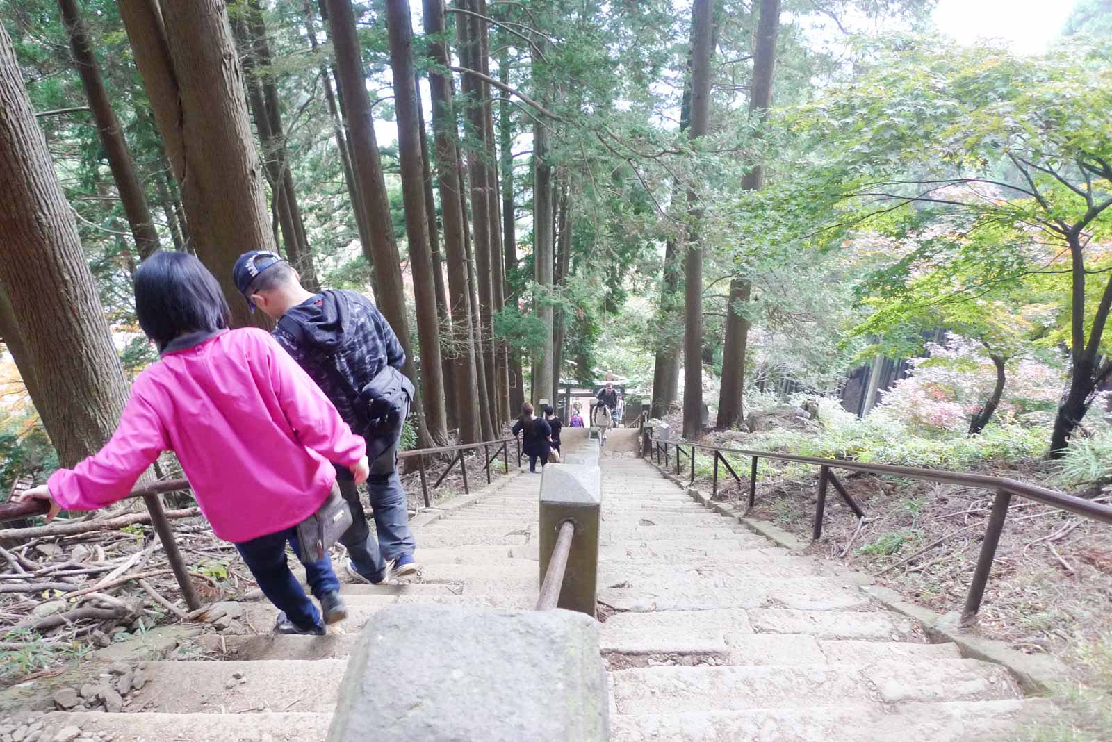 大山石段を見下ろす