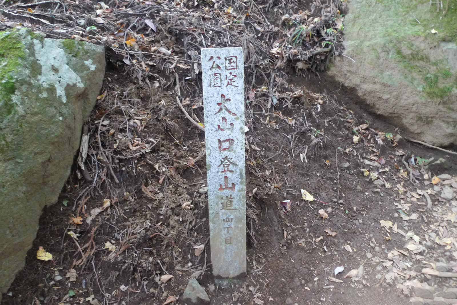 大山の登山道