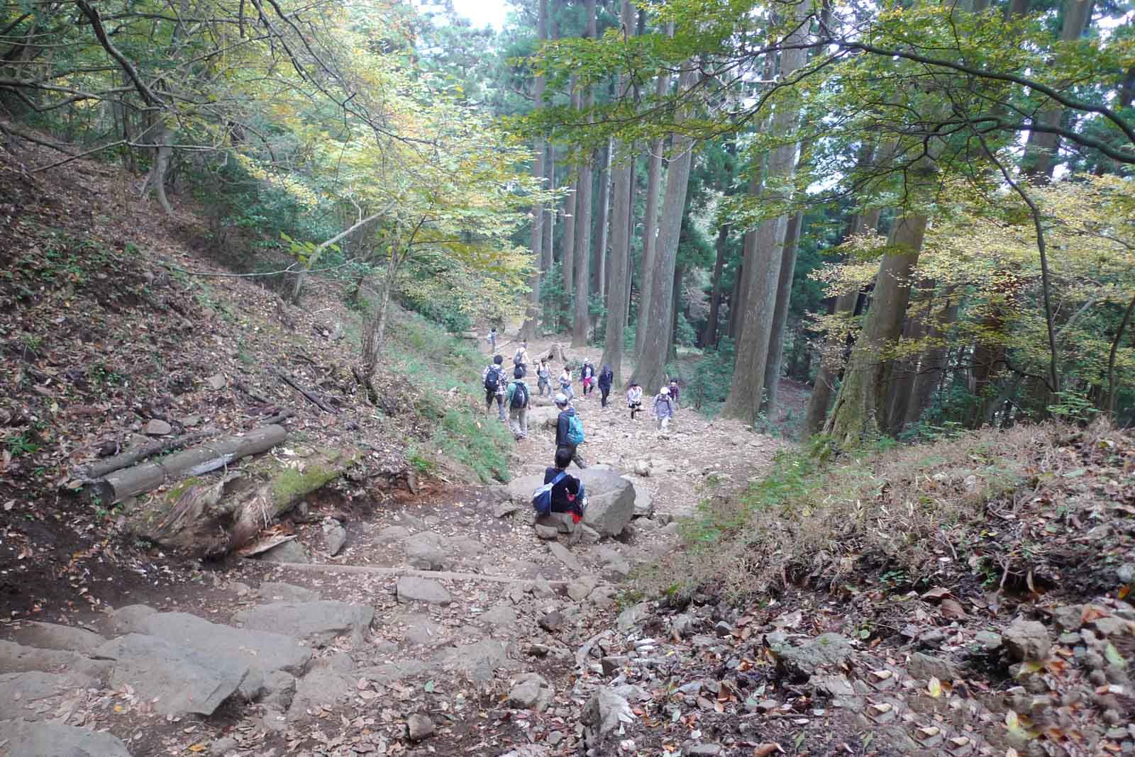 大山の山道を見下ろした様子