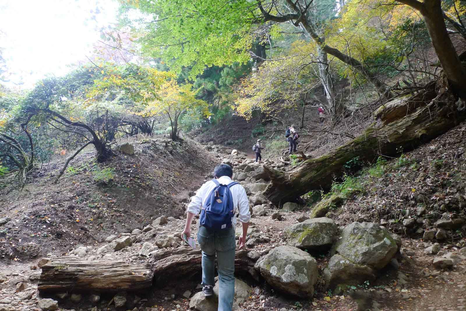 大山の険しい岩道