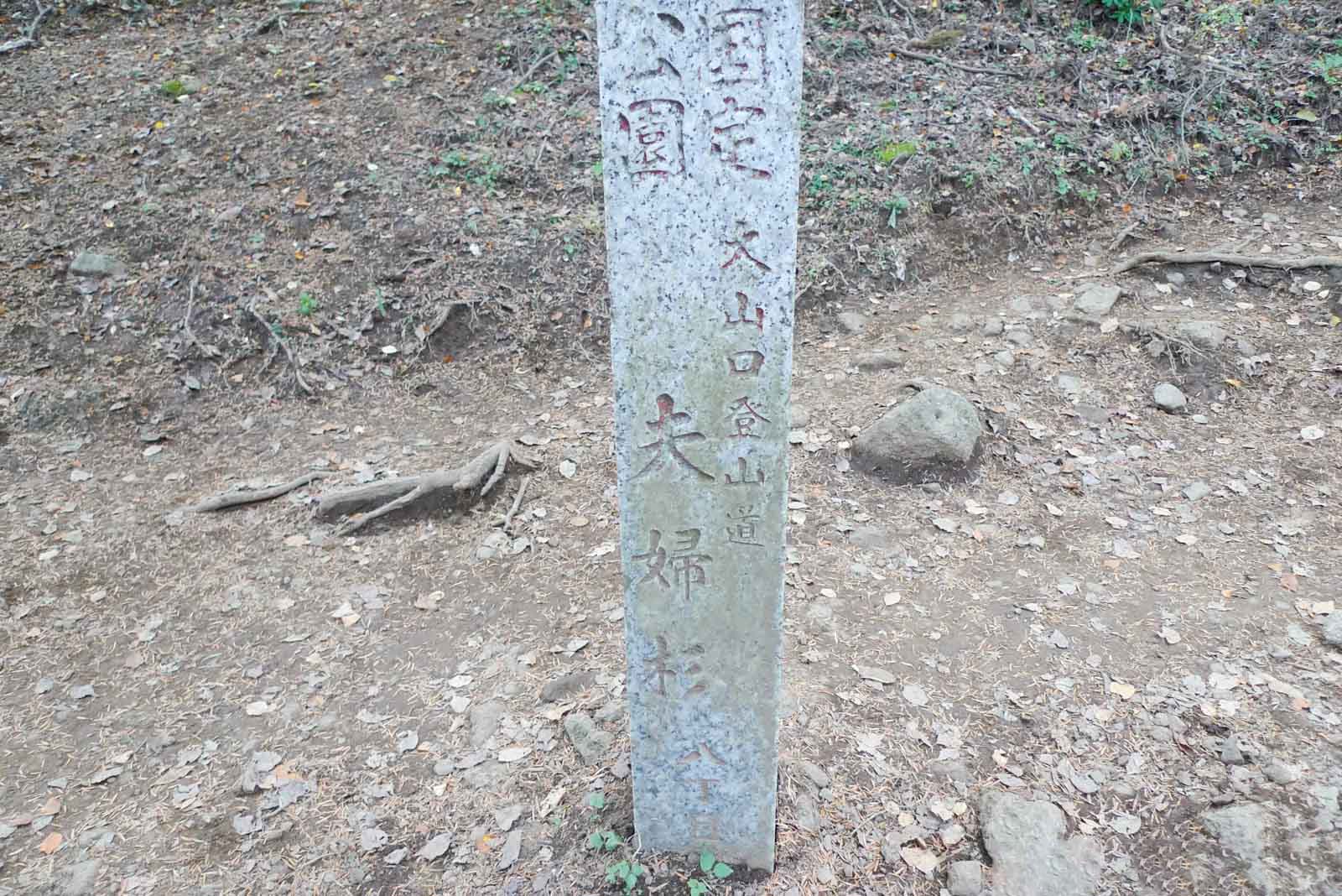 大山夫婦杉八丁目