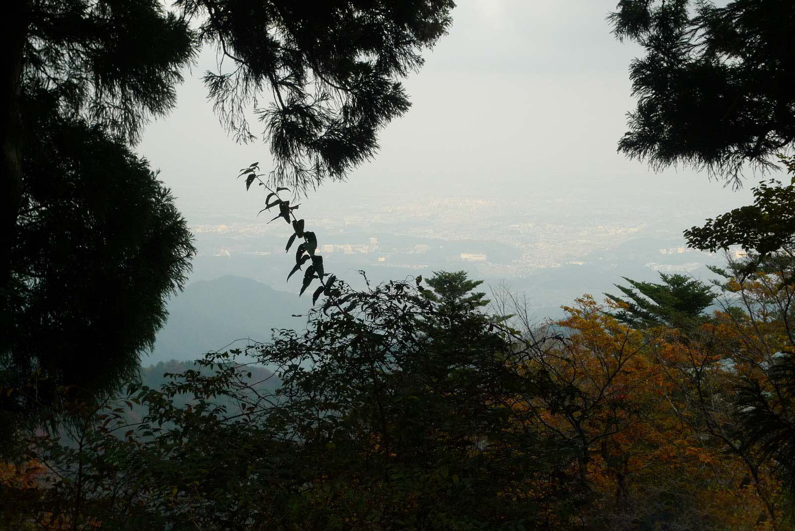 大山から見た伊勢原