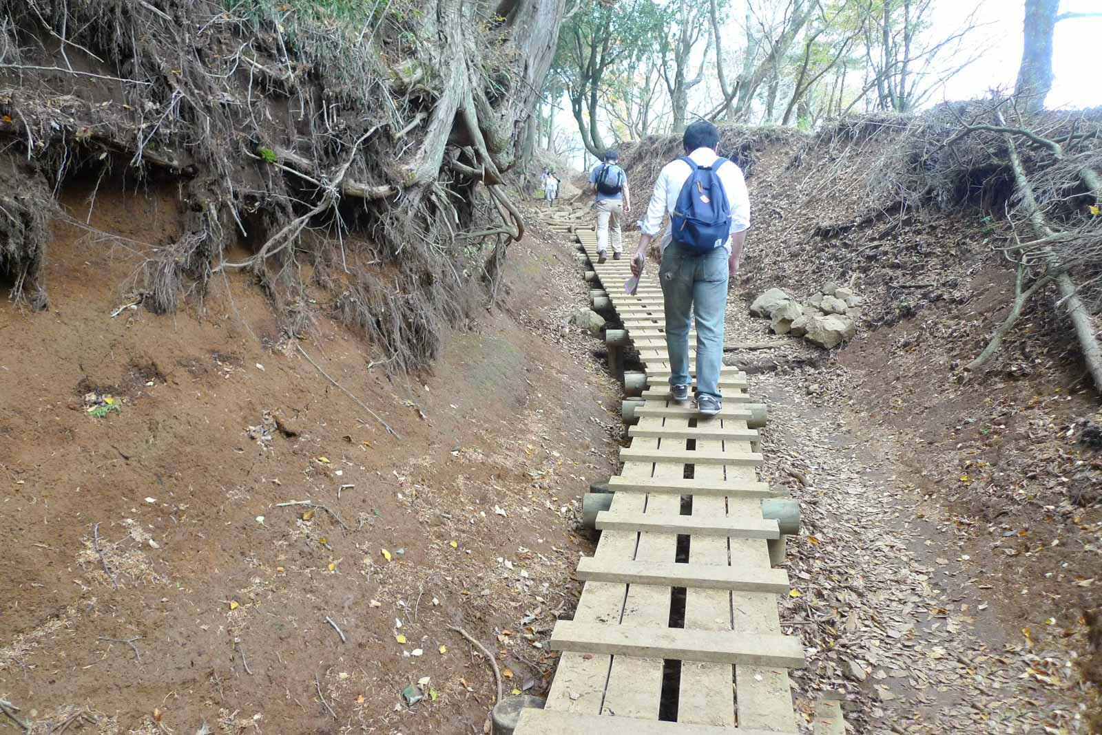 大山のすのこ道"