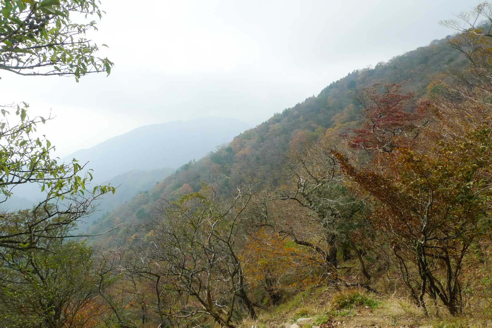 大山の山々