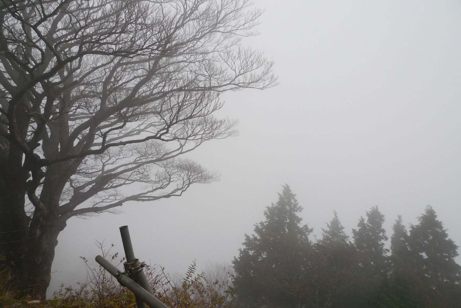 大山頂上から見た景色2