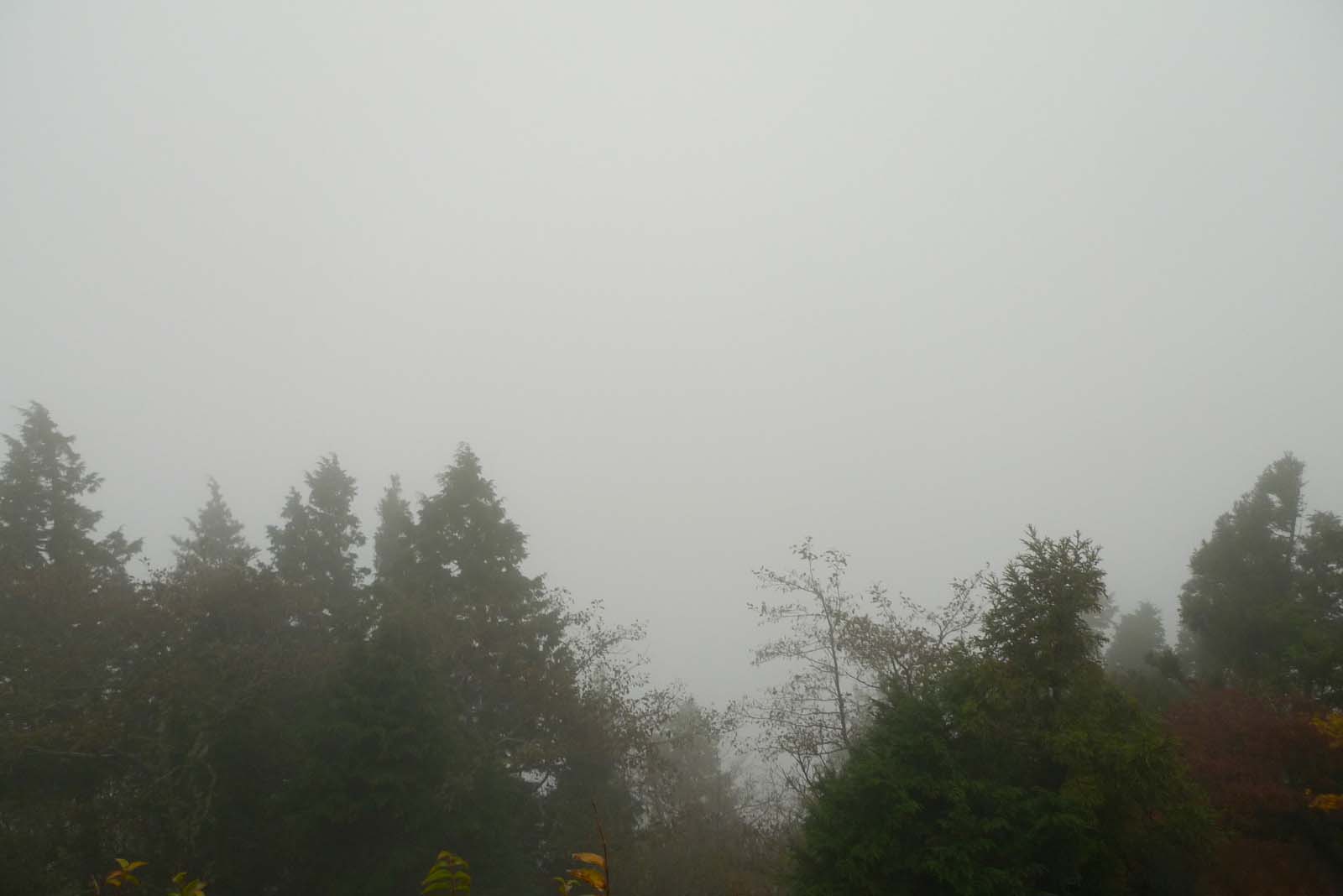 大山頂上から見た景色1