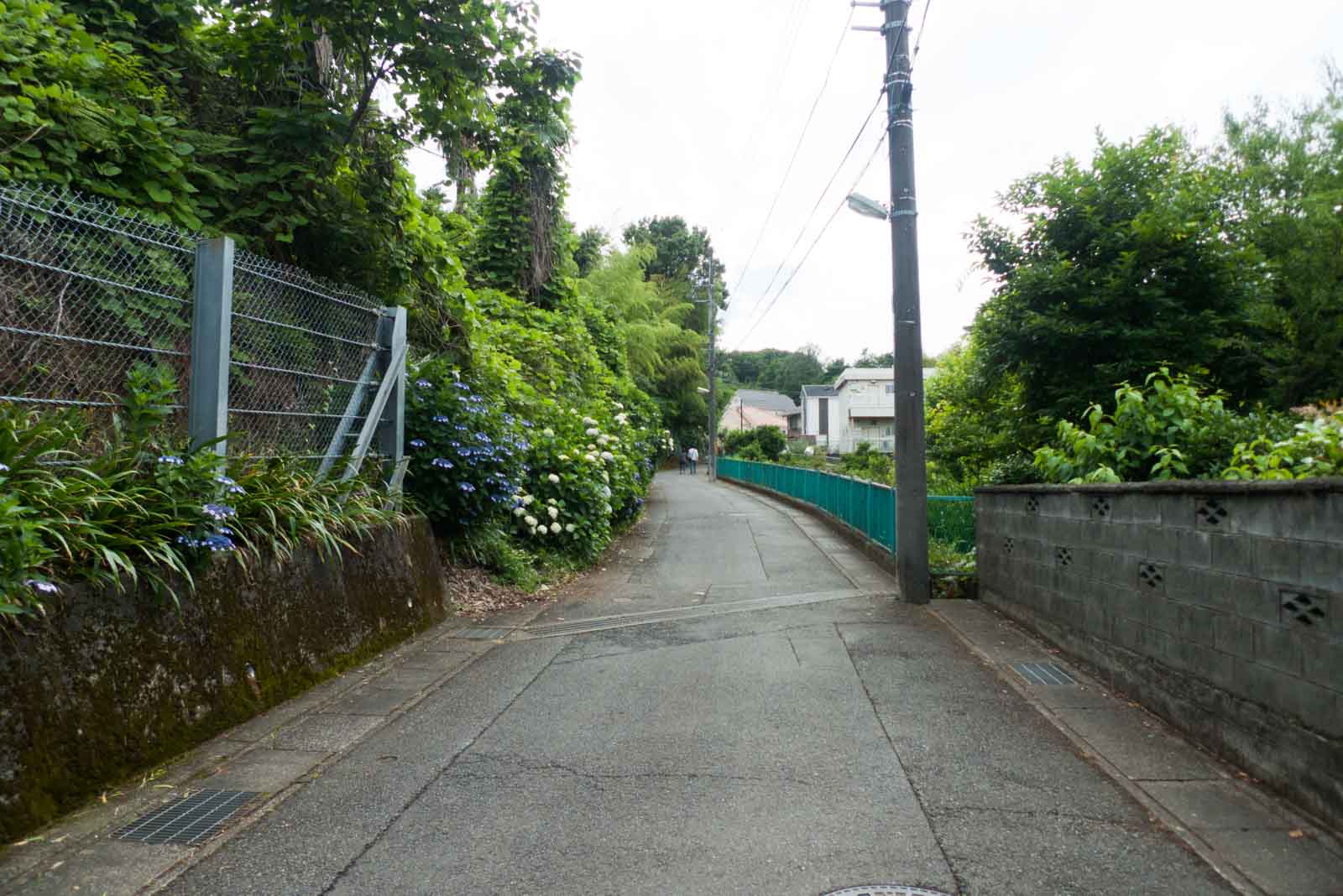坂を登っていく