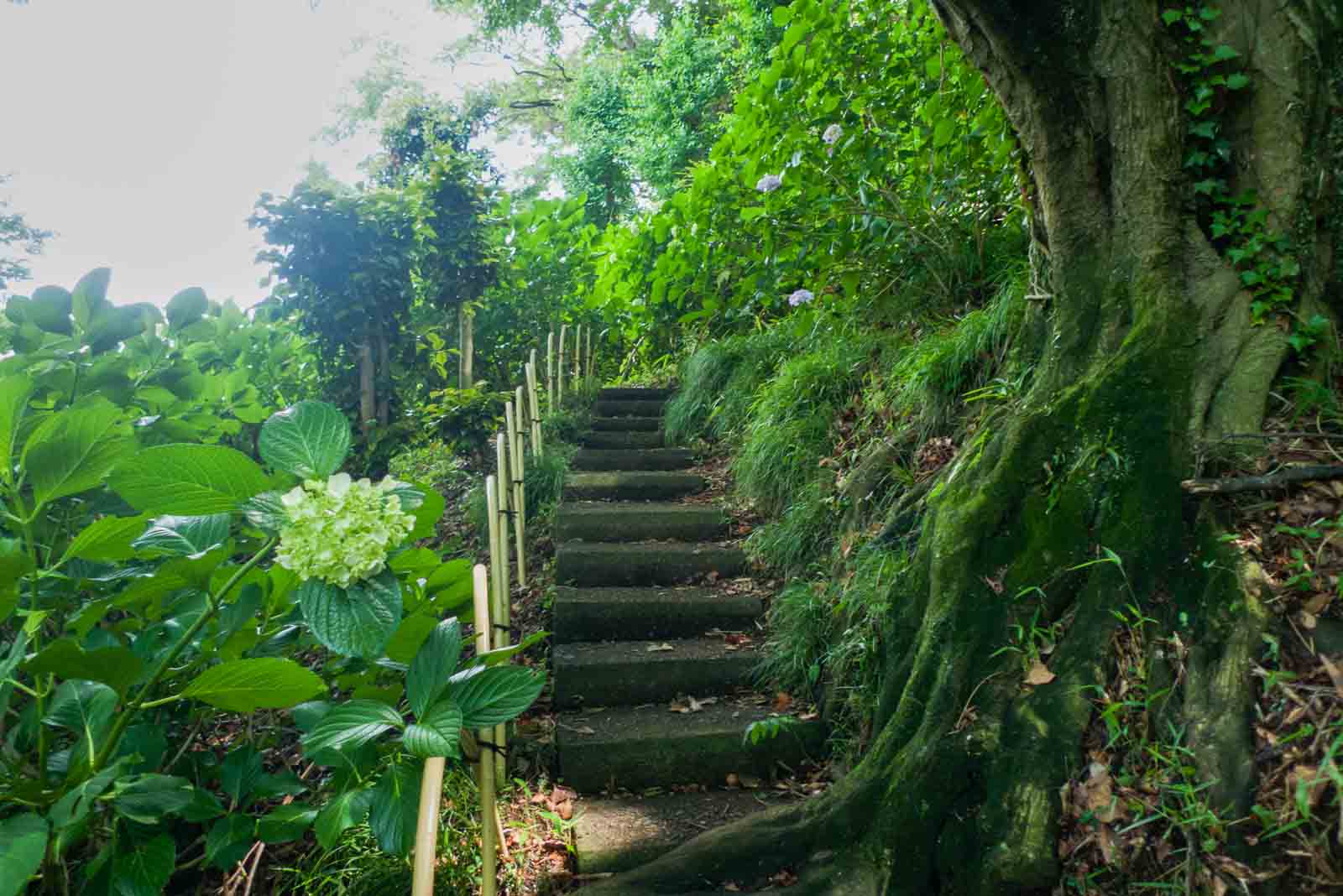 上に登る階段