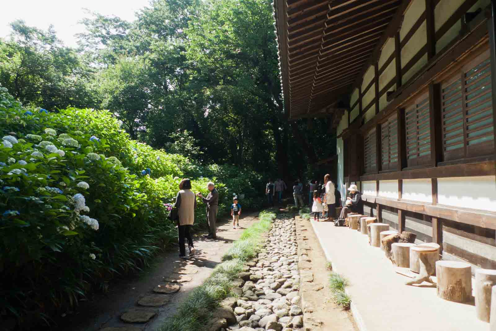 本堂横の縁側