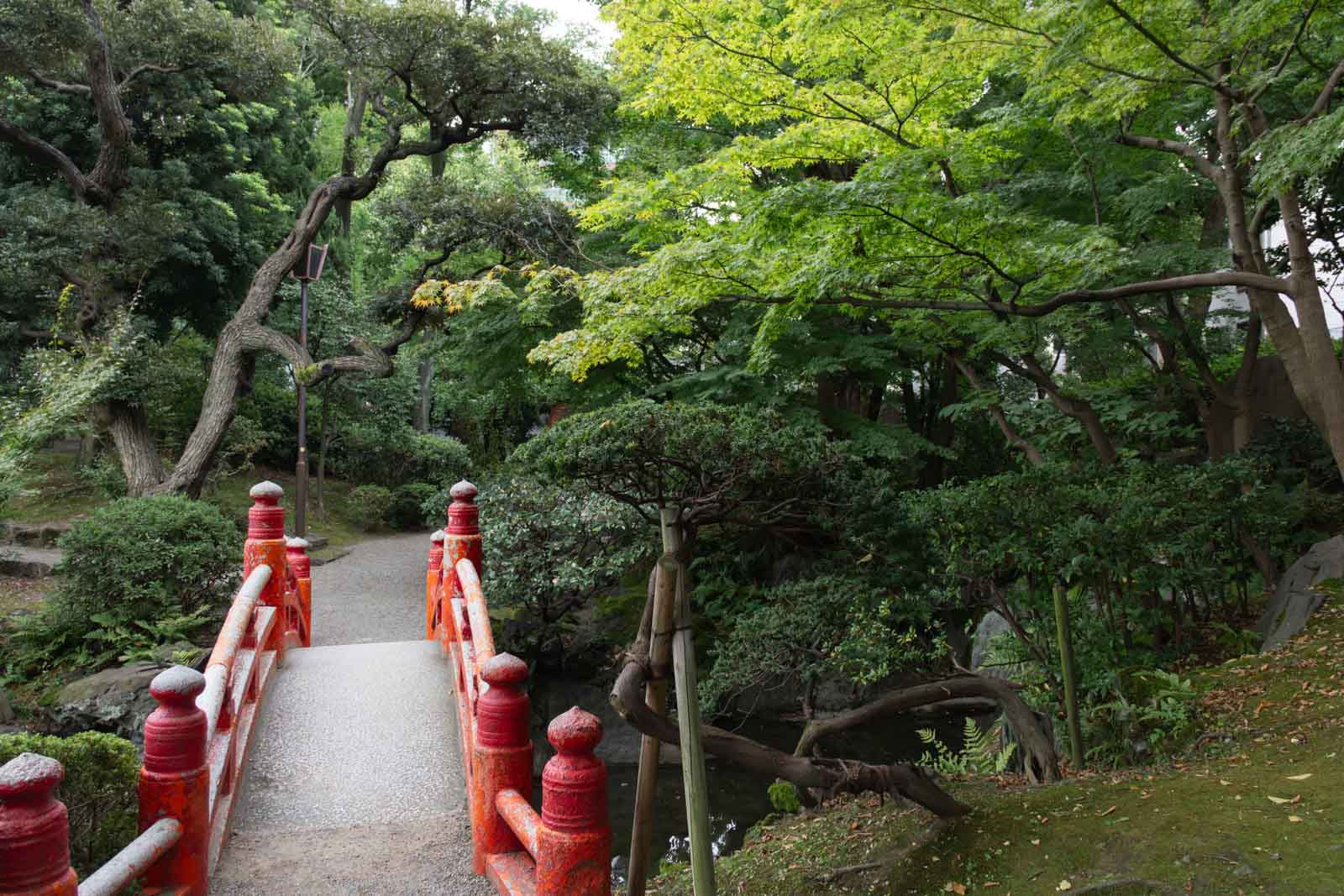 赤い太鼓橋