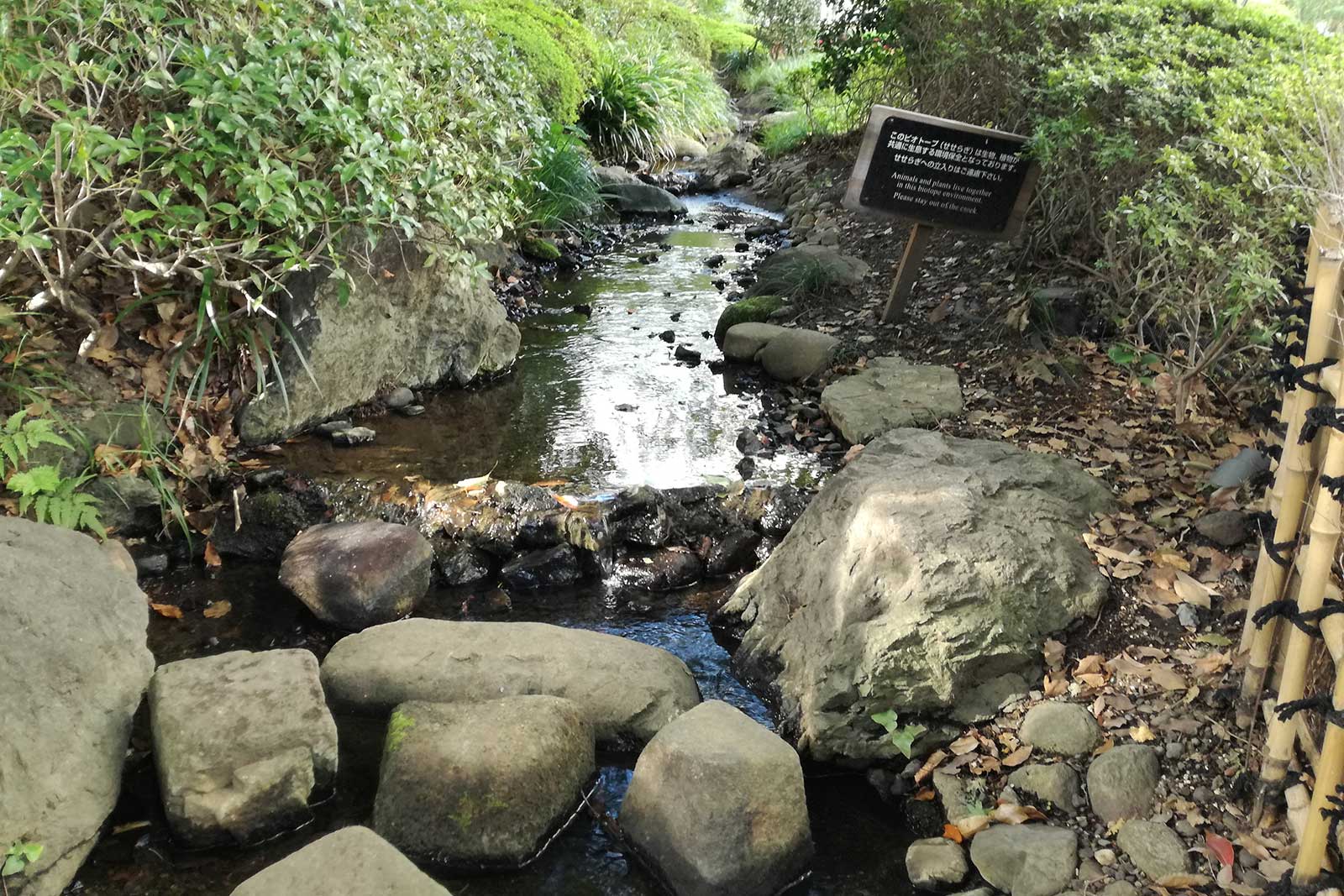 小川