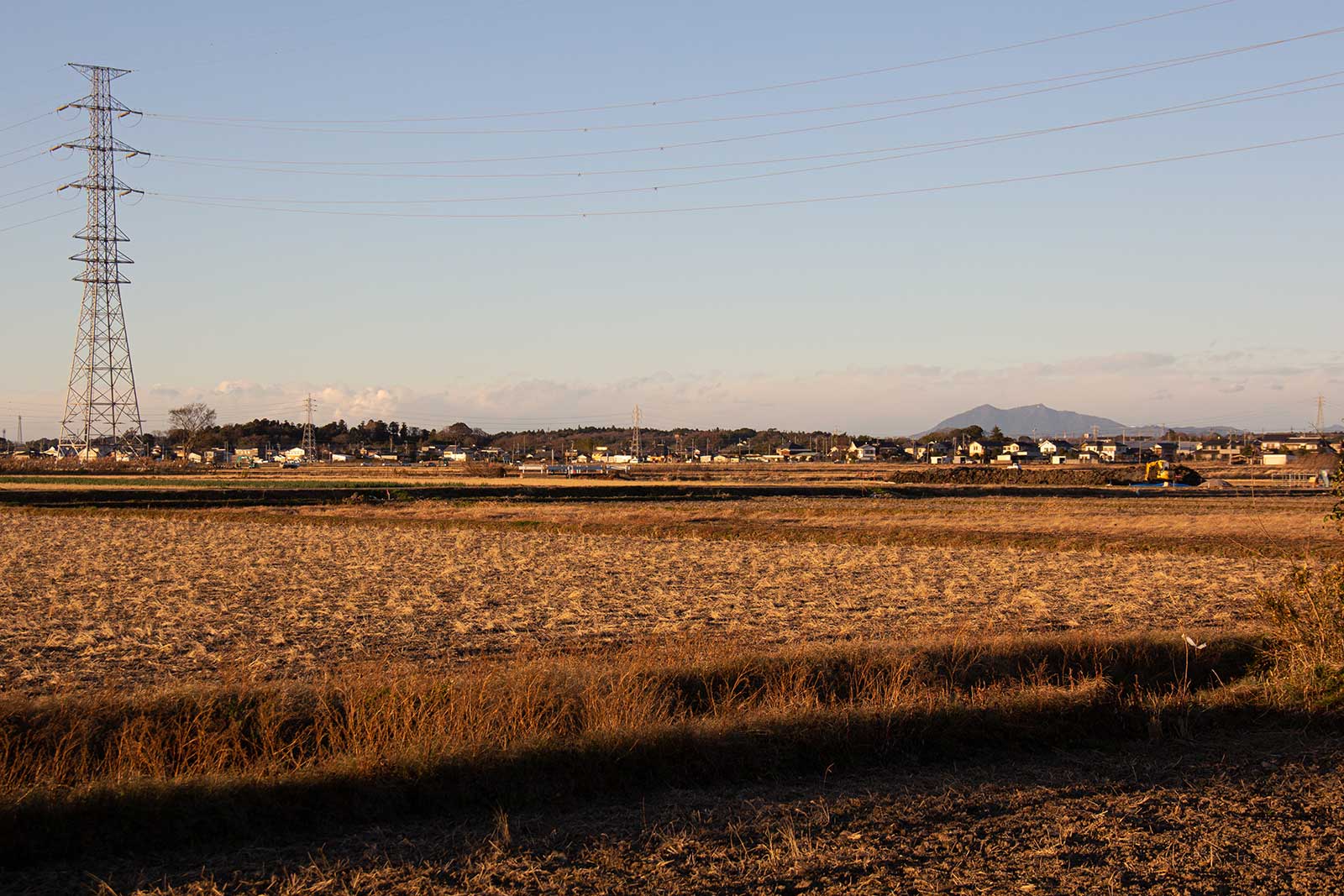田んぼの景色