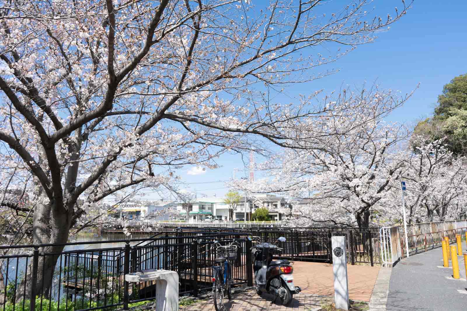 二つ池公園