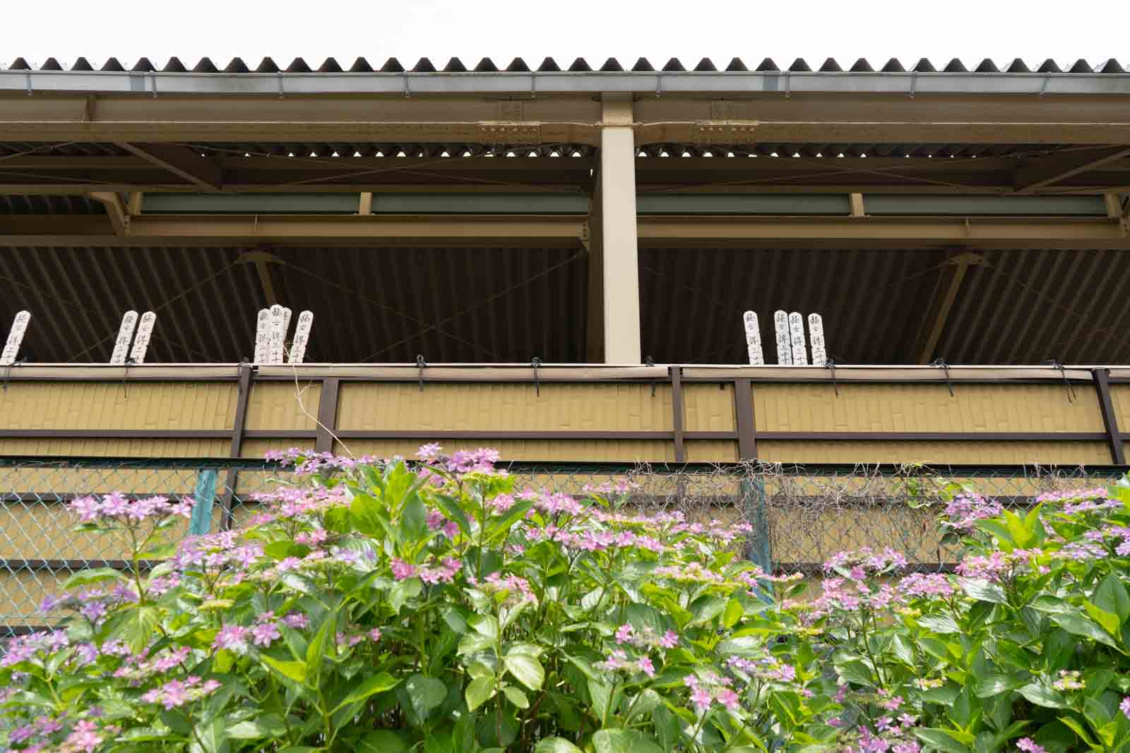 屋根付きのお墓